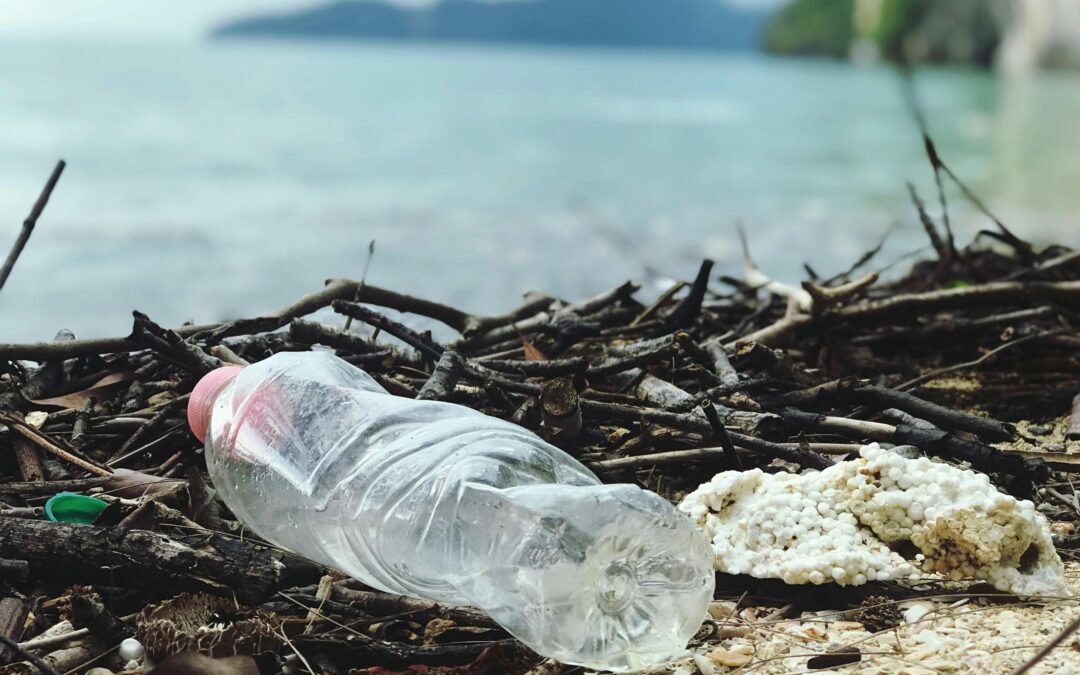 Un oceano di plastica🌊